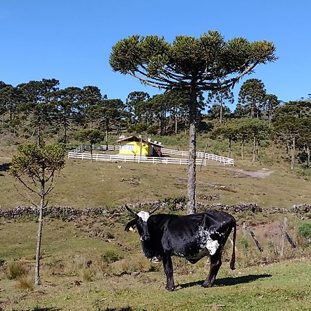 Casa de Temporada Fazenda Borba Villa Urubici Bagian luar foto