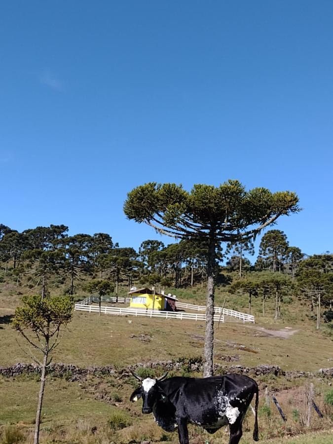 Casa de Temporada Fazenda Borba Villa Urubici Bagian luar foto