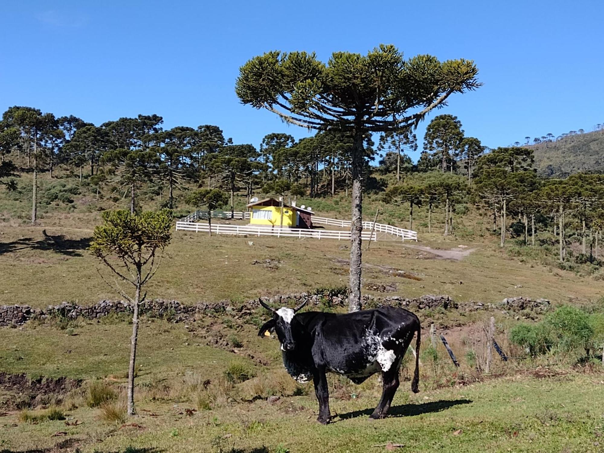 Casa de Temporada Fazenda Borba Villa Urubici Bagian luar foto