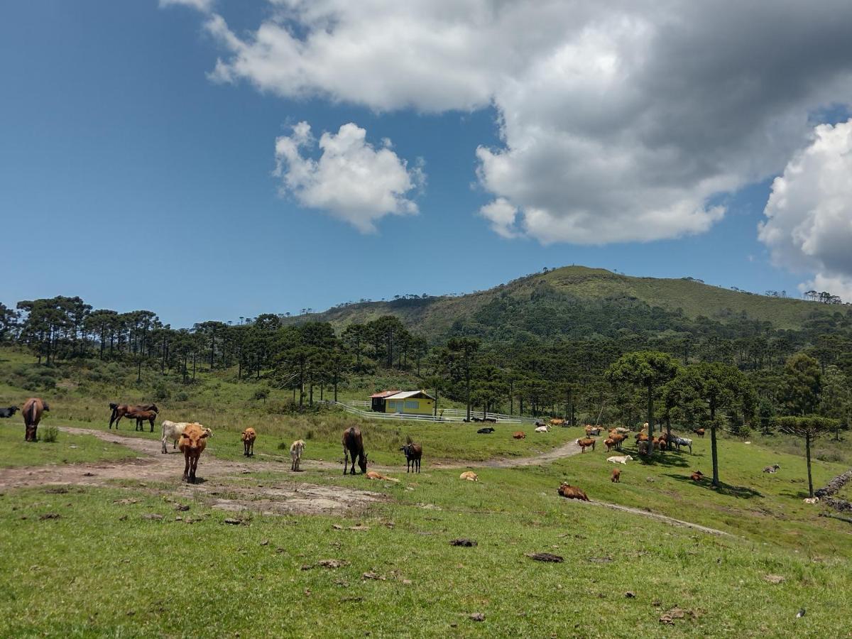 Casa de Temporada Fazenda Borba Villa Urubici Bagian luar foto