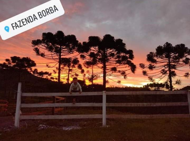 Casa de Temporada Fazenda Borba Villa Urubici Bagian luar foto