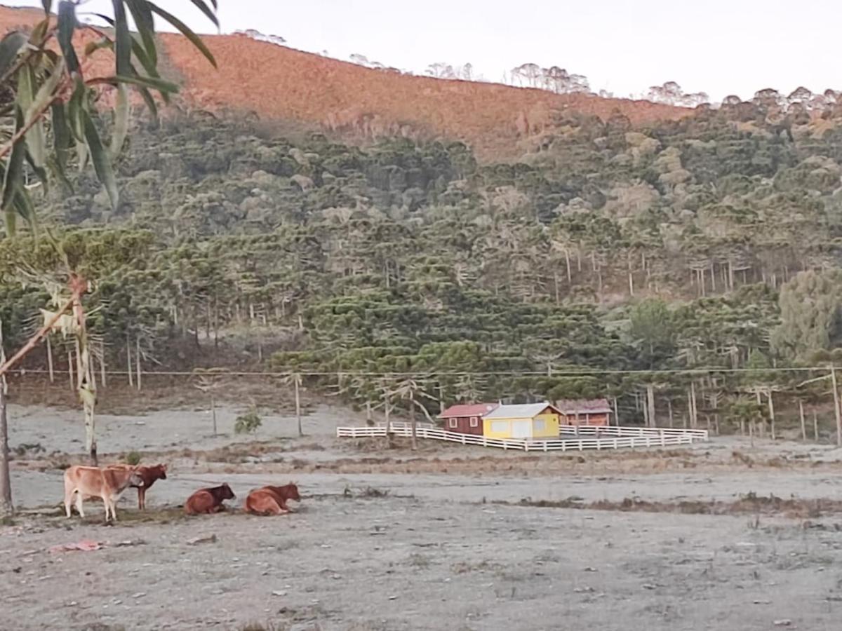 Casa de Temporada Fazenda Borba Villa Urubici Bagian luar foto