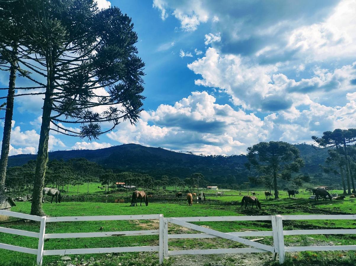Casa de Temporada Fazenda Borba Villa Urubici Bagian luar foto