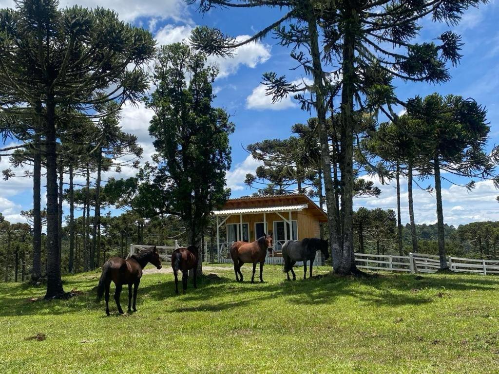 Casa de Temporada Fazenda Borba Villa Urubici Bagian luar foto