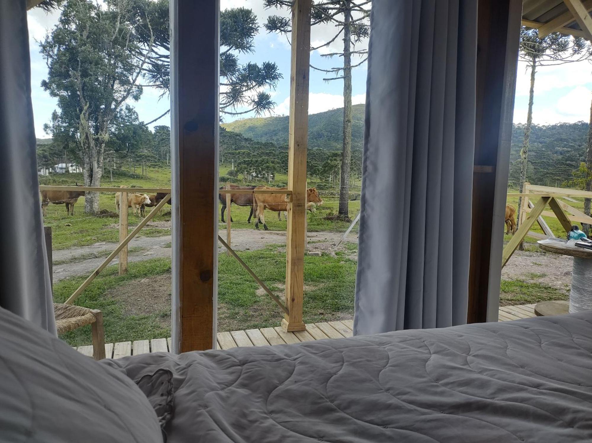 Casa de Temporada Fazenda Borba Villa Urubici Ruang foto