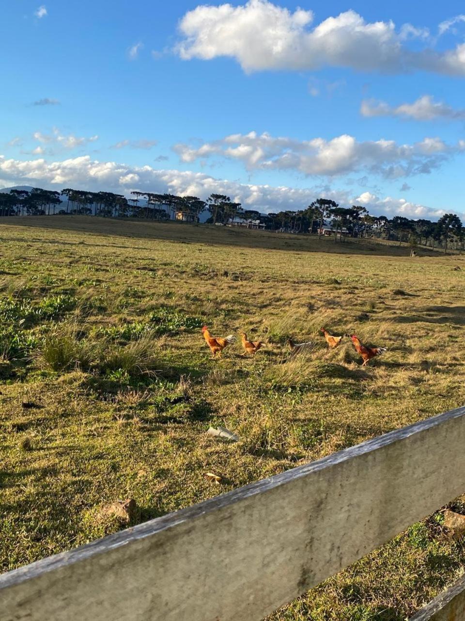 Casa de Temporada Fazenda Borba Villa Urubici Bagian luar foto