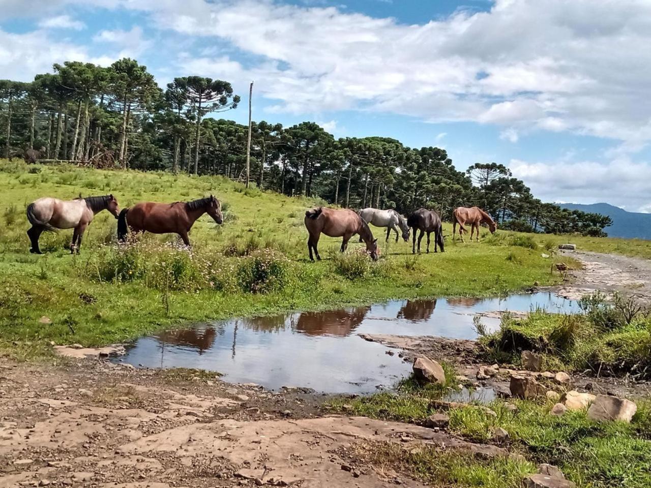 Casa de Temporada Fazenda Borba Villa Urubici Bagian luar foto