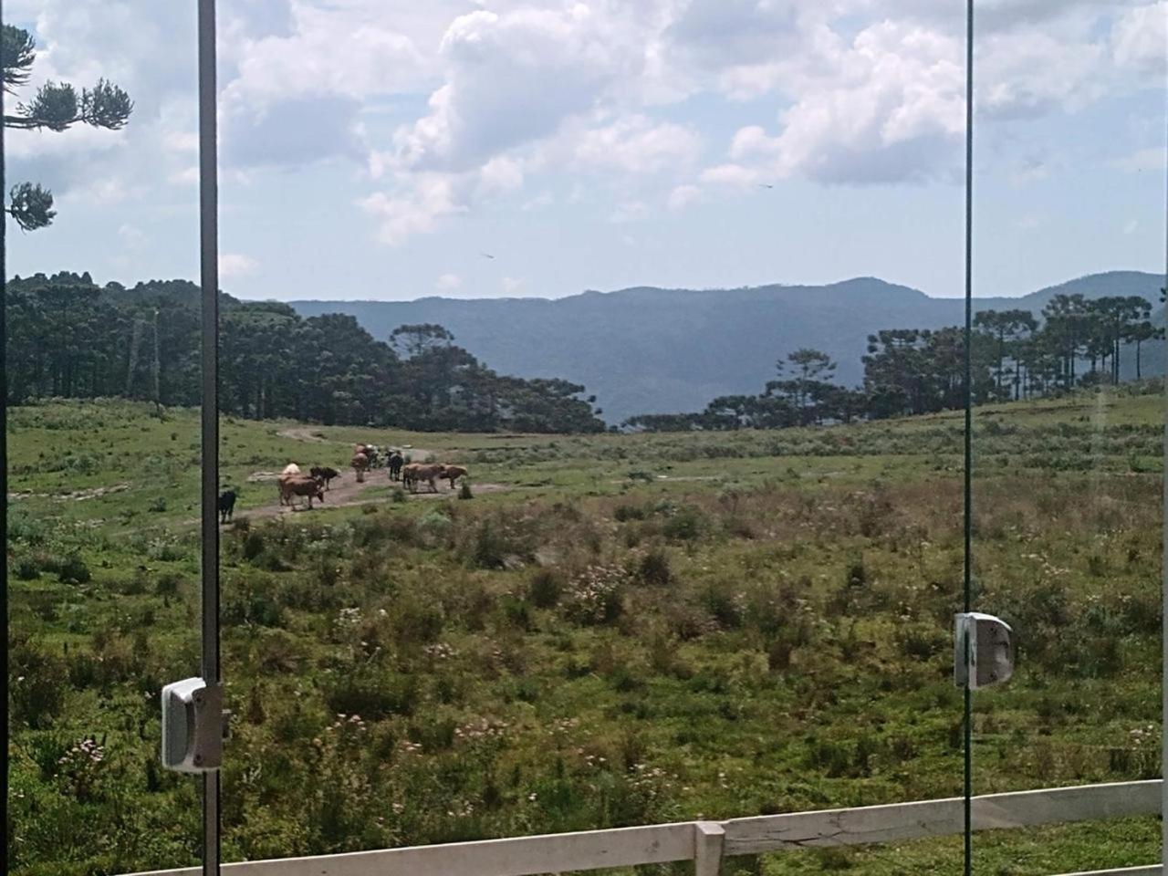 Casa de Temporada Fazenda Borba Villa Urubici Bagian luar foto