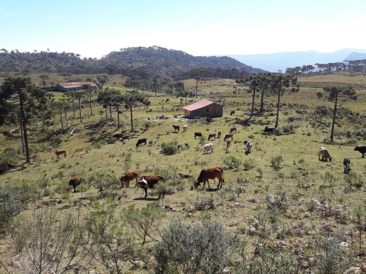 Casa de Temporada Fazenda Borba Villa Urubici Bagian luar foto